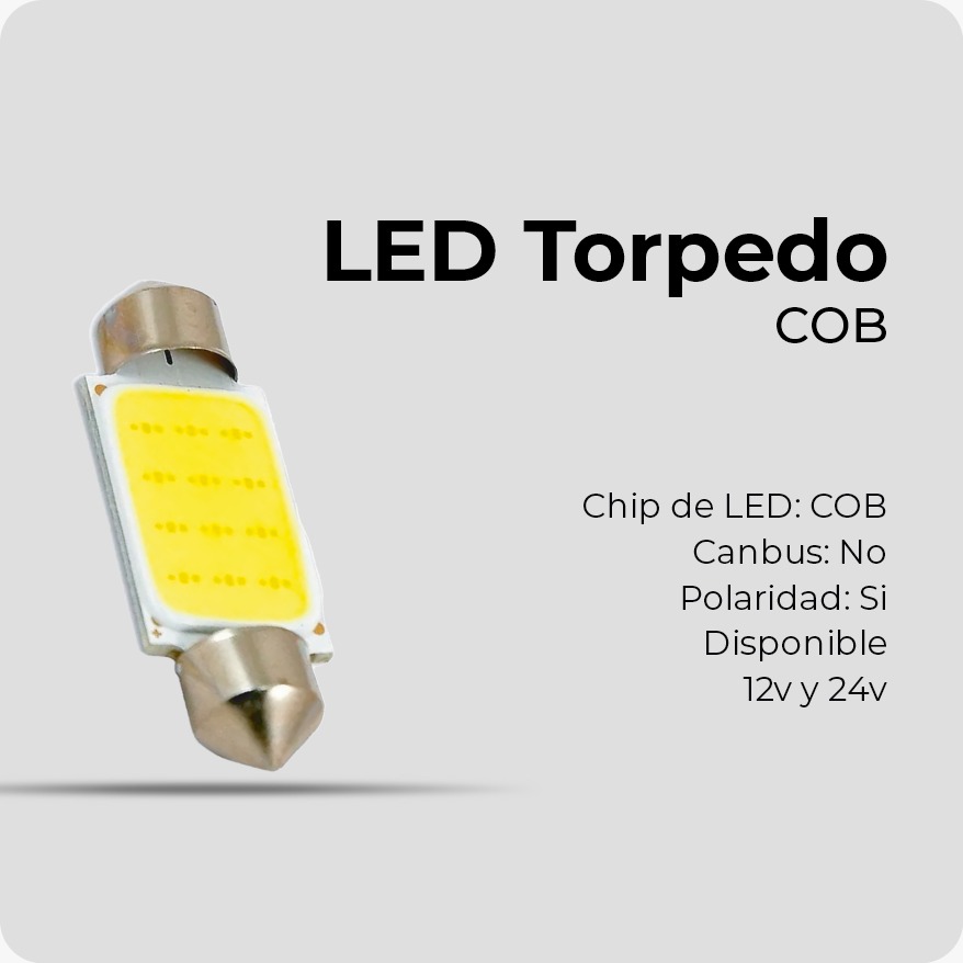 WhatsApp Image 2024-09-18 at 21.29.10 (2)